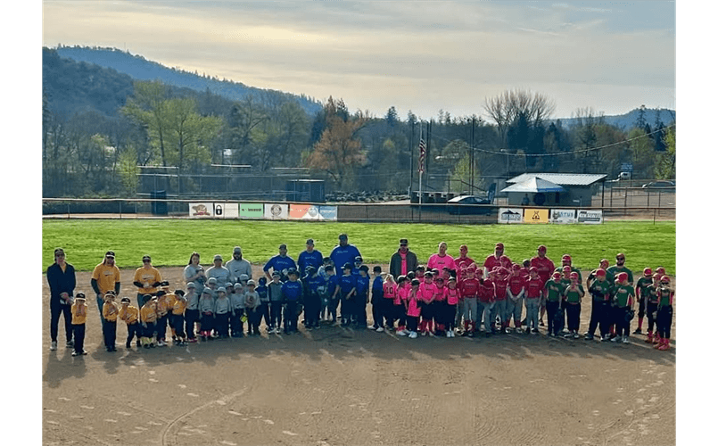 Gold Valley Little League photo