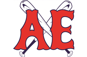 Amador County East Little League hero