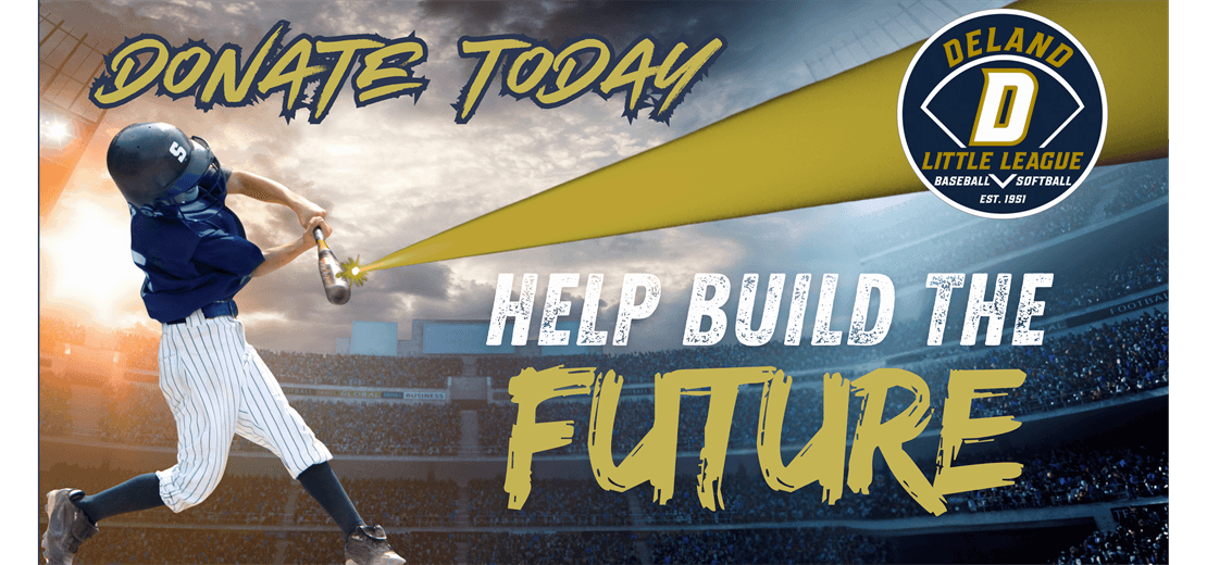 The Future Fields Fundraiser