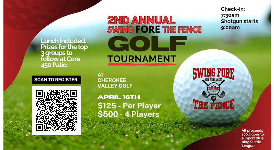 Blue Ridge Little League photo