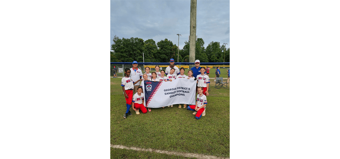 Warner Robins American Little League photo