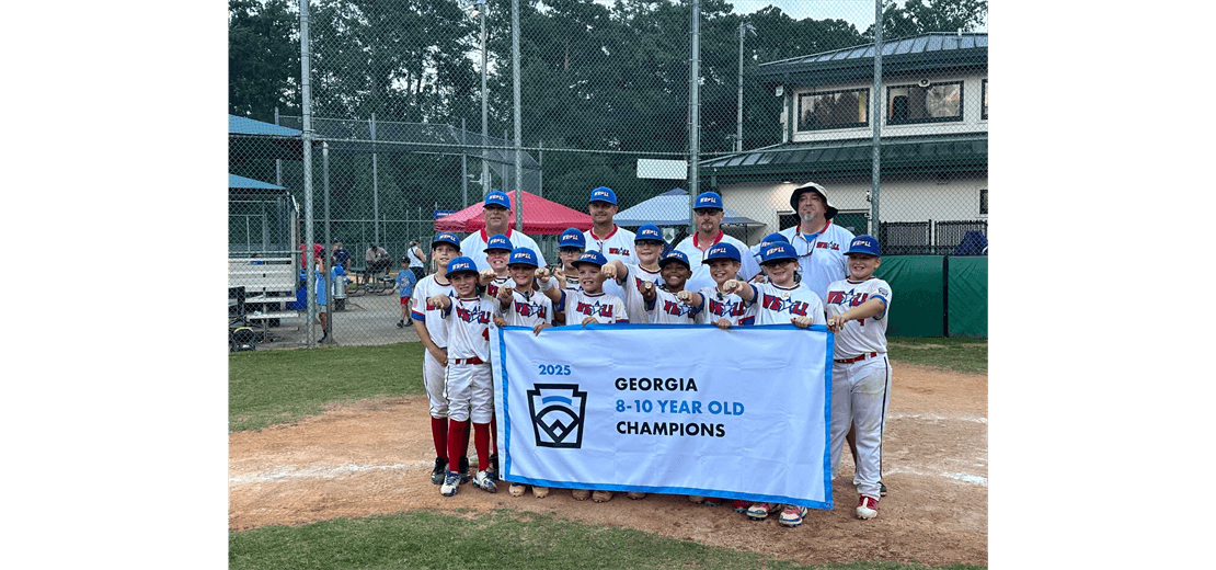 Warner Robins American Little League photo