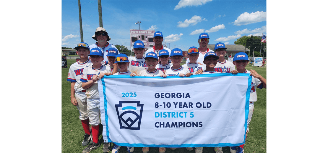 Warner Robins American Little League photo