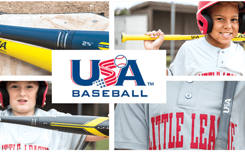 Baseball Bat Information