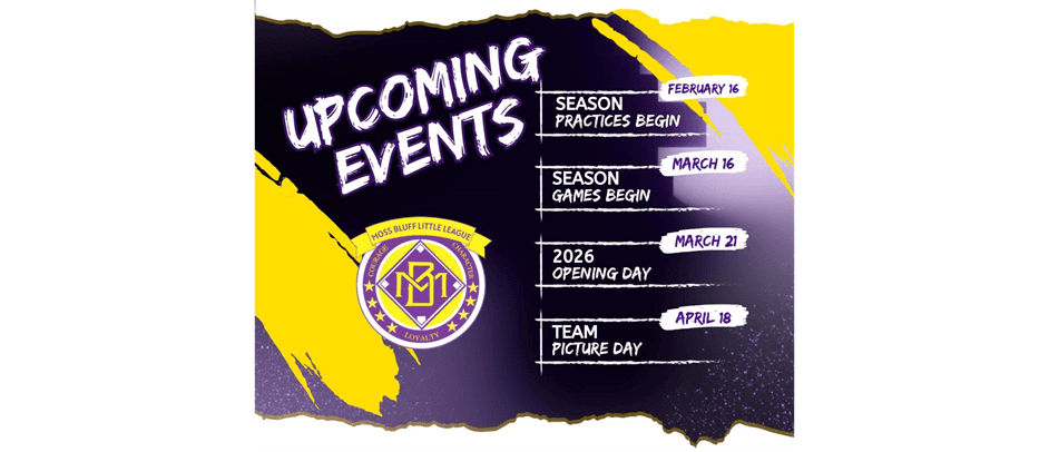 Moss Bluff Little League photo