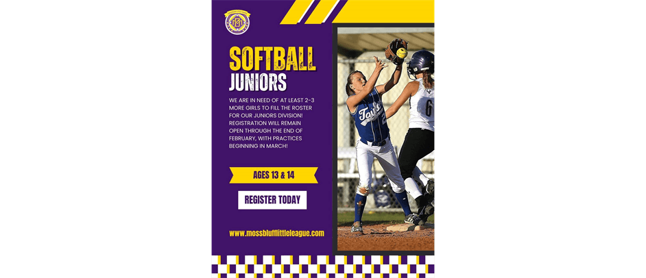 Moss Bluff Little League photo