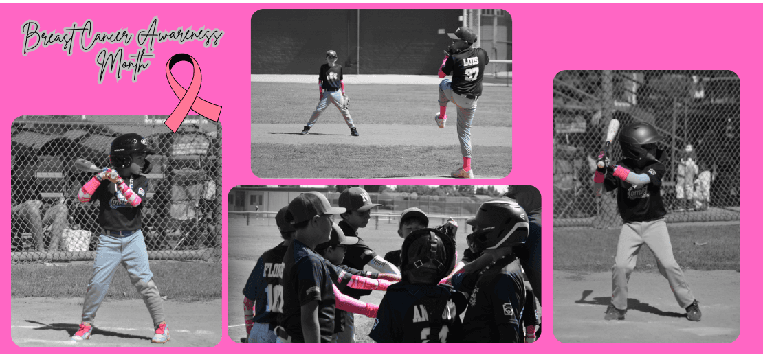 Norwalk Little League photo