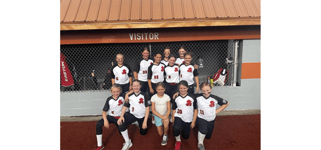 Saint Albans Little League photo