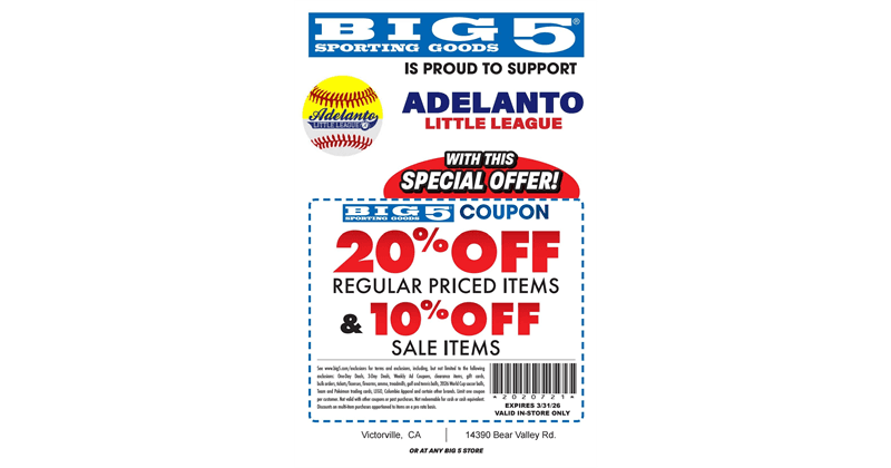 BIG 5 COUPON