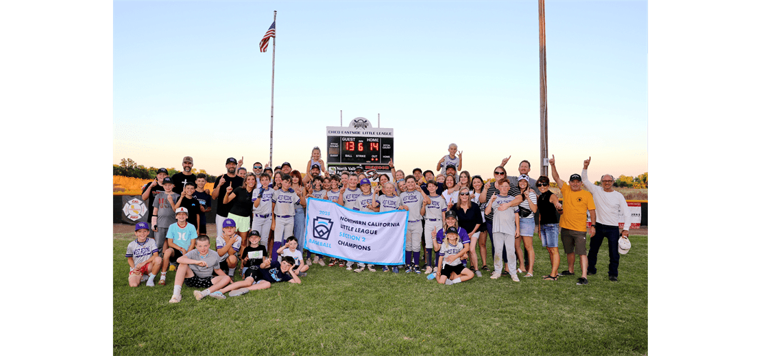 2025 Section 2 Little League Champions