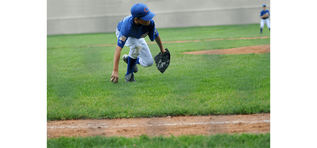 Three Cheers for Our Sponsors!