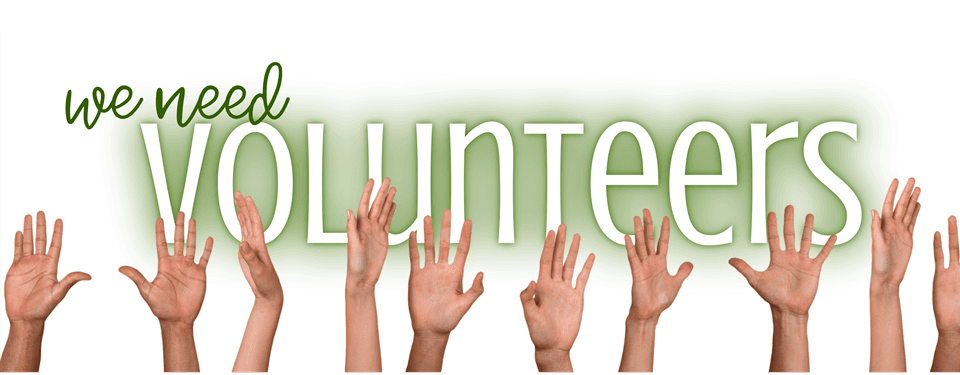 New Volunteer in Sports Connect