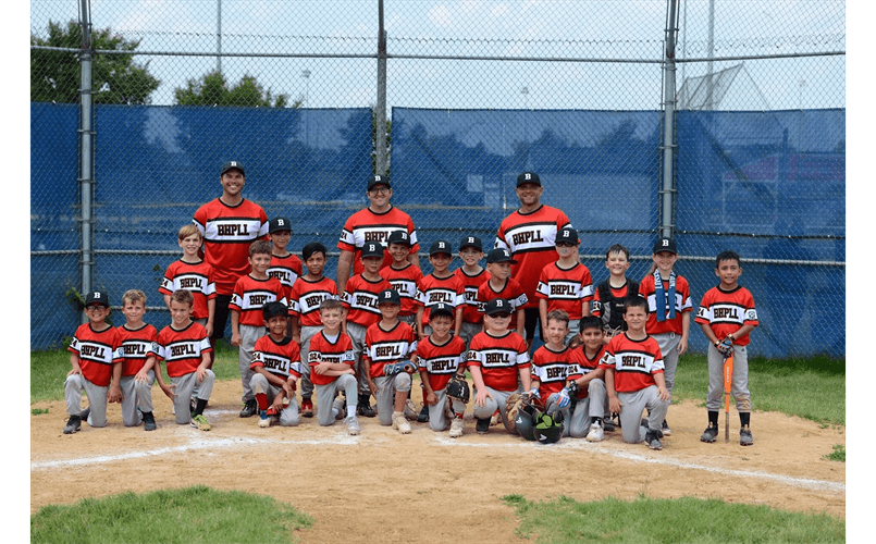 Bartlett-Hanover Park Little League photo