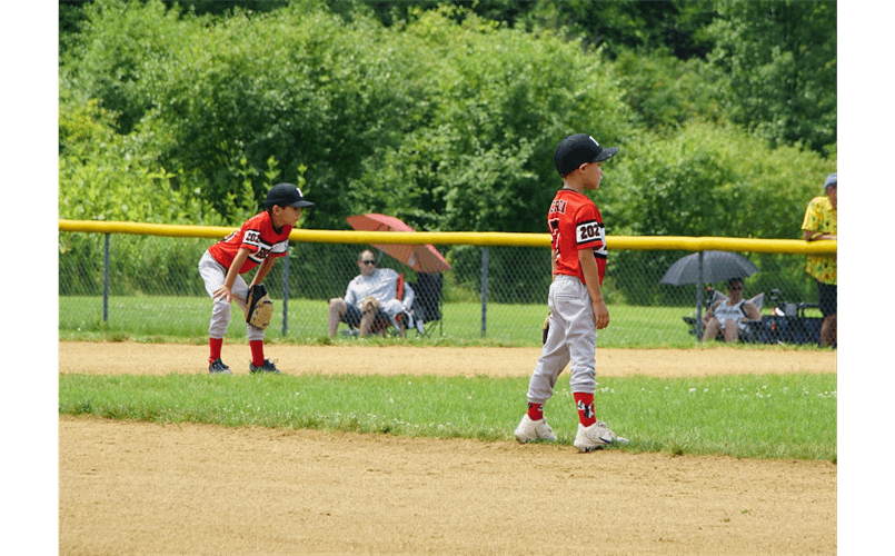 Bartlett-Hanover Park Little League photo