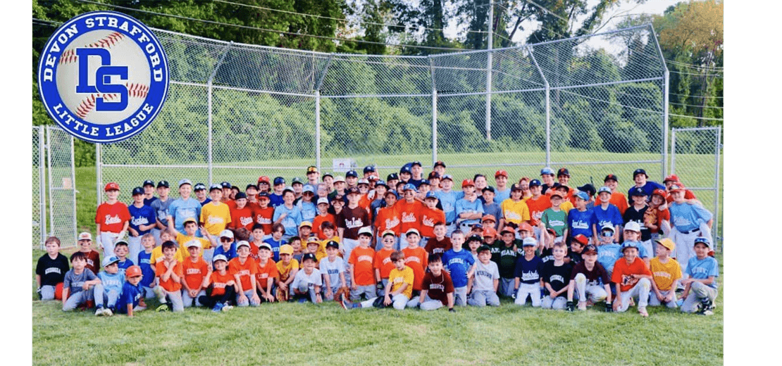 Welcome to Devon Strafford Little League