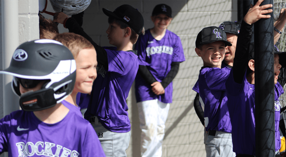 East Valley Little League photo