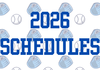 Fountain Hills Little League hero