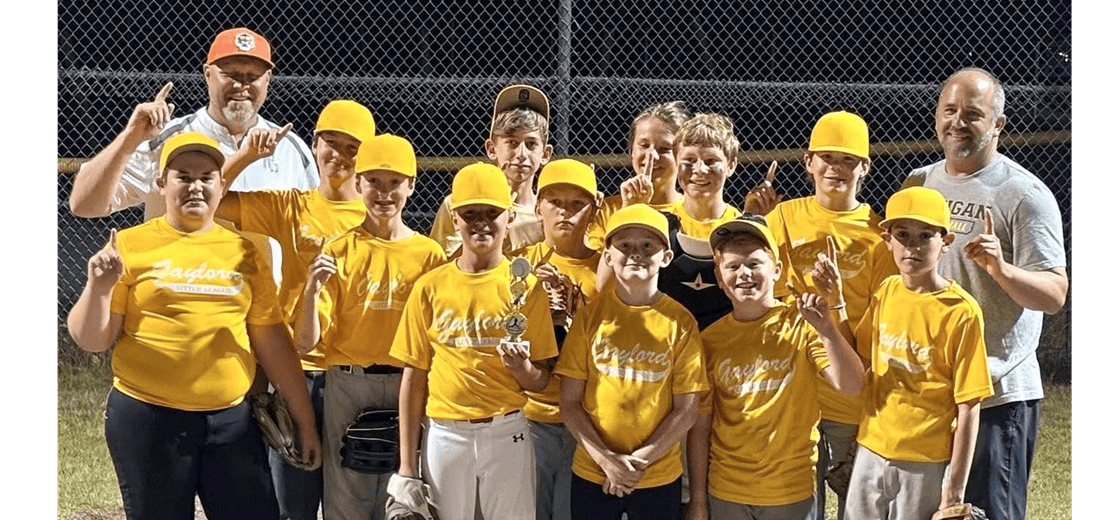 Gaylord Little League photo