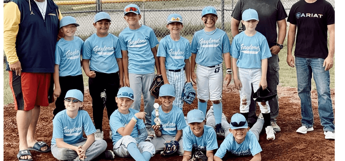 Gaylord Little League photo