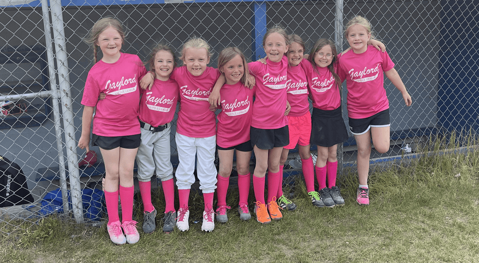 Gaylord Little League photo