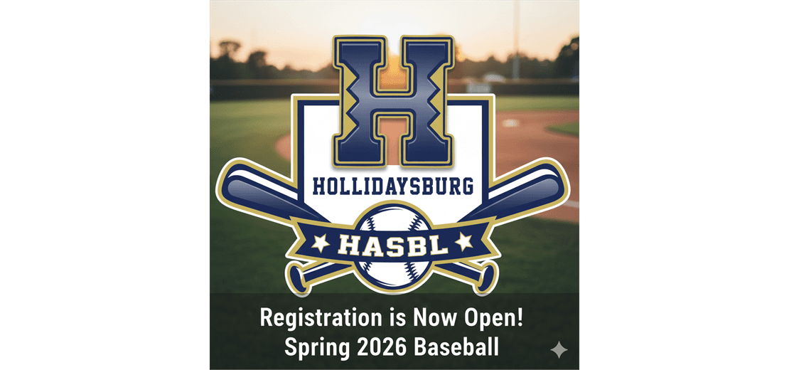 Hollidaysburg Area Little League photo