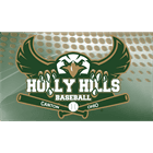Holly Hills Baseball logo
