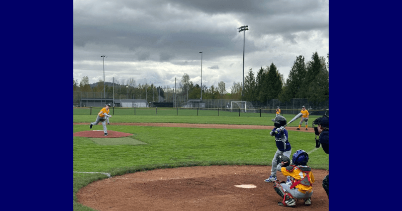 Lake Oswego Little League photo