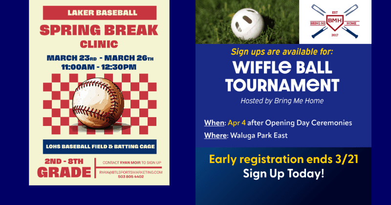 Lake Oswego Little League photo