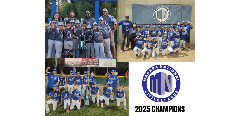 2025 Baseball Champion teams