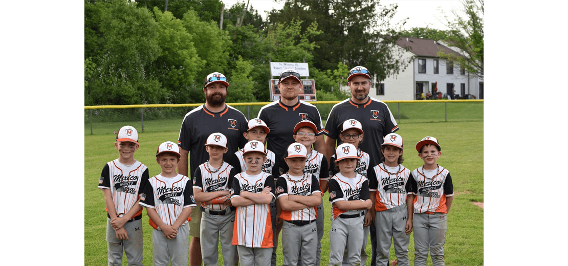 Furnia Realty - Top Mexico minors baseball