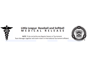 Northeast Little League hero