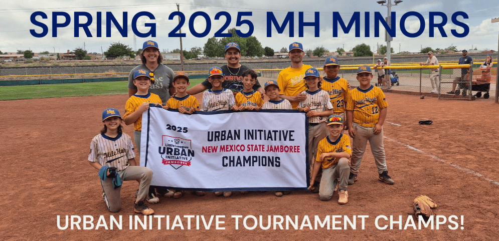 Mile High American Little League photo