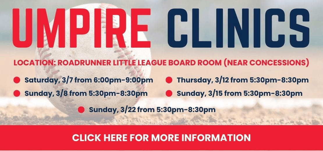 Mile High American Little League photo