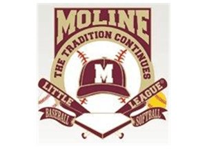 Moline Little League hero