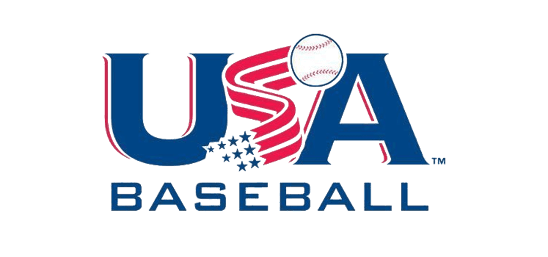 Little League Bat Rules