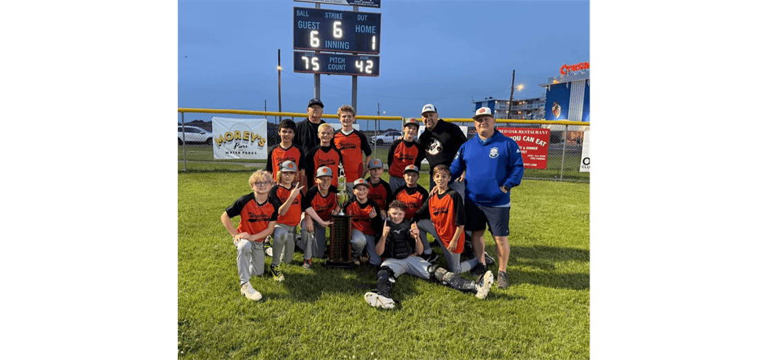 Majors Baseball Champions 2025