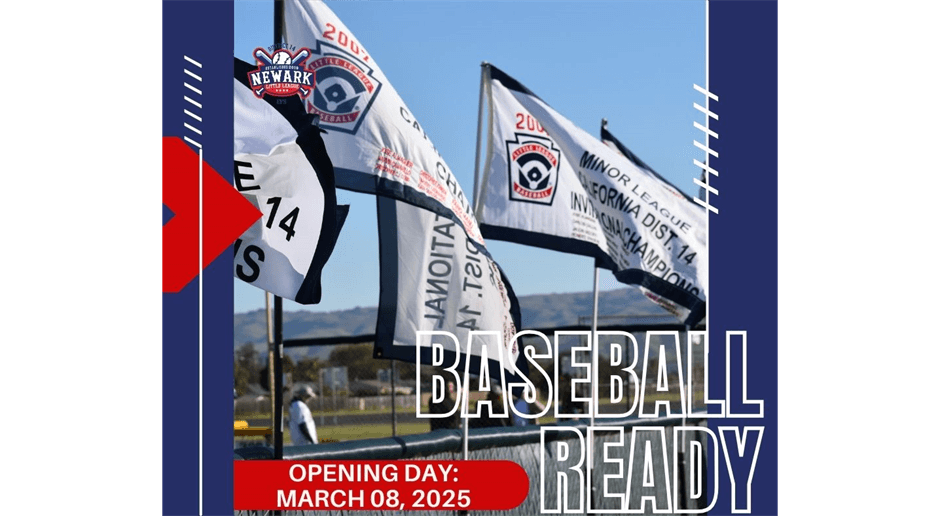 Newark Little League photo