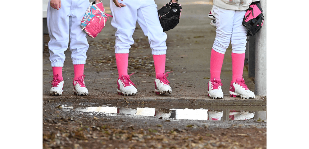 North Natomas Little League photo