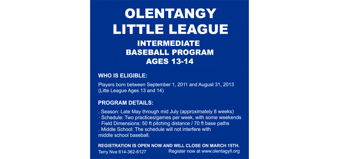 Olentangy Little League photo