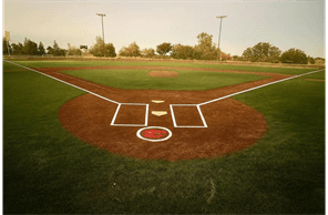 Cosumnes River Little League hero