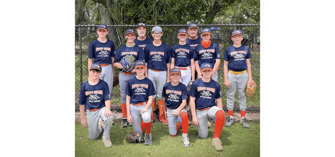 Safety Harbor Little League photo