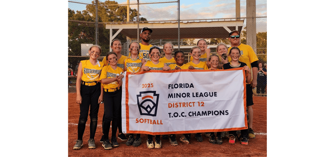 Safety Harbor Little League photo