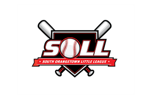 South Orangetown Little League hero