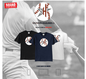 Southern Highlands Little League hero