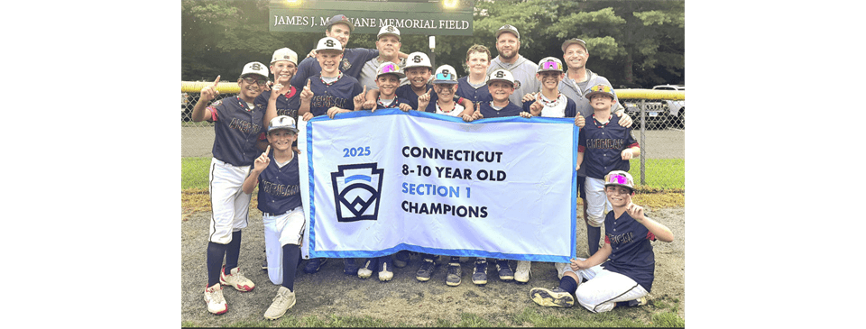 2025 - 10U Sectional Champions