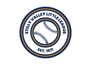 Stilly Valley Little League hero