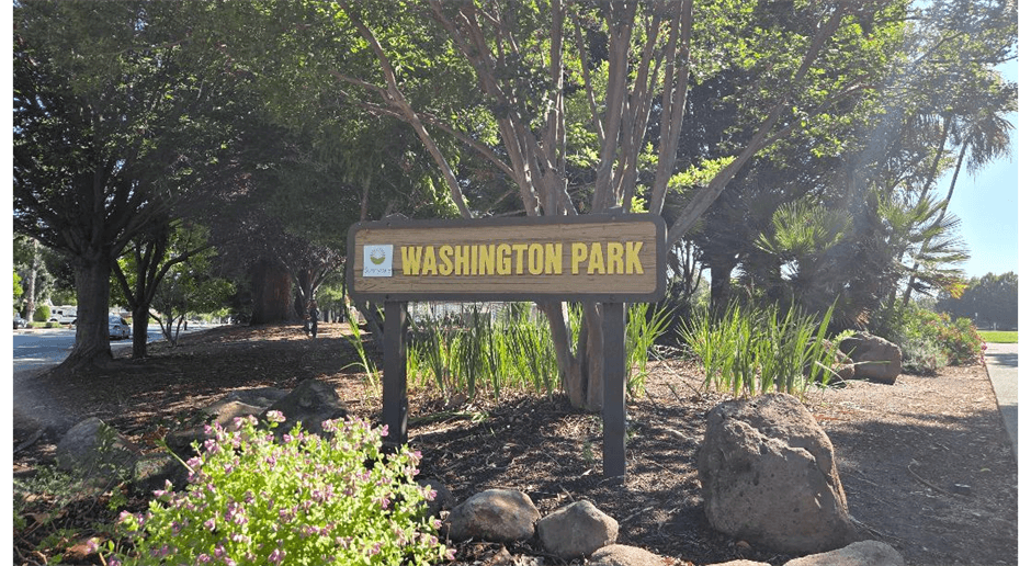 Sunnyvale National Little League photo