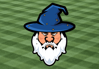 Washingtonville Little League hero