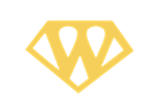 Woodlawn Little League hero