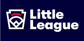 York County Little League hero